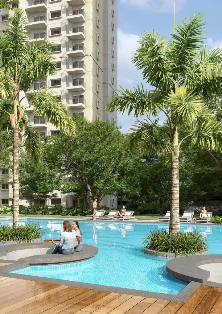 alembic cloud forest pool view