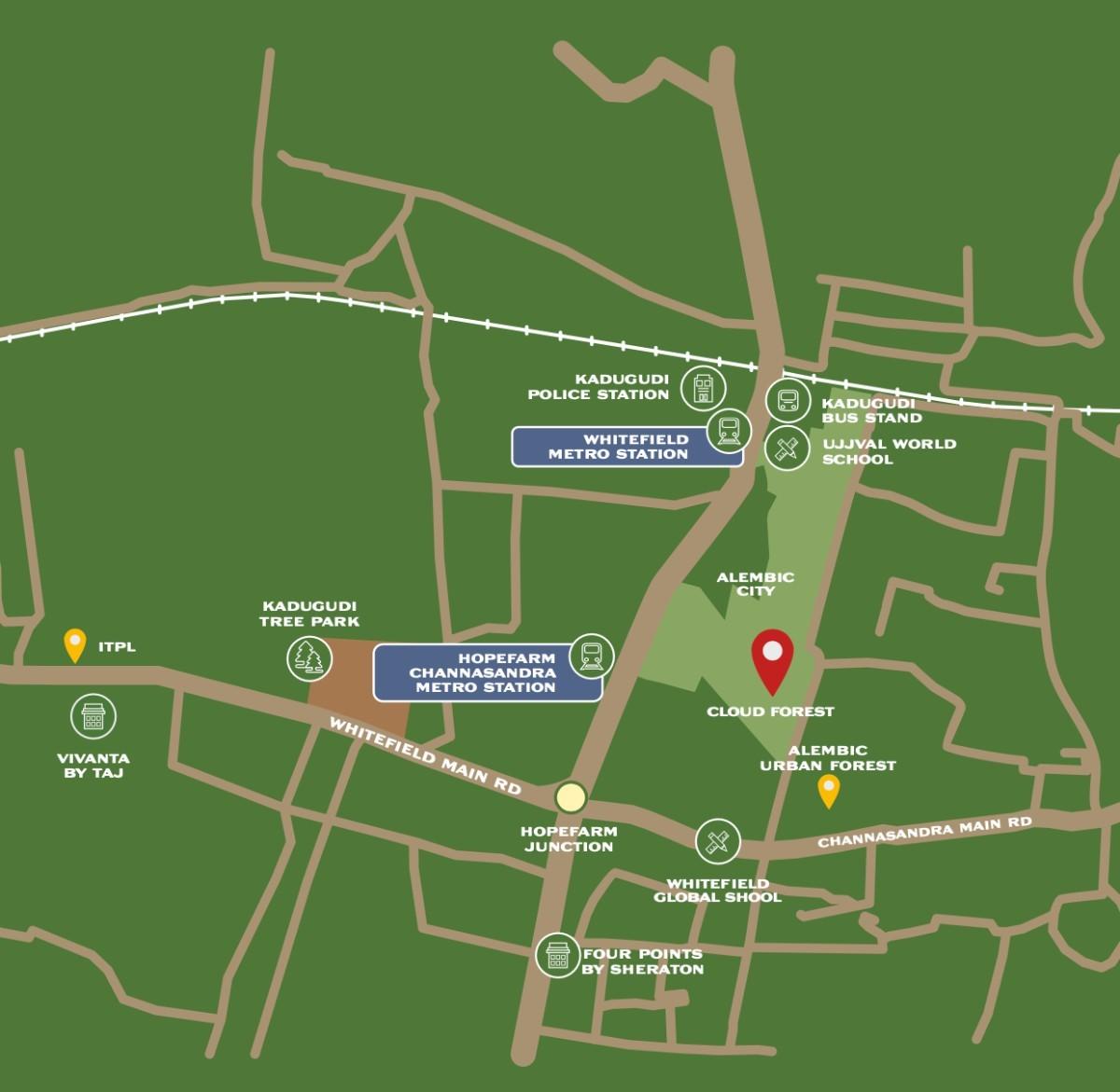 alembic cloud forest location