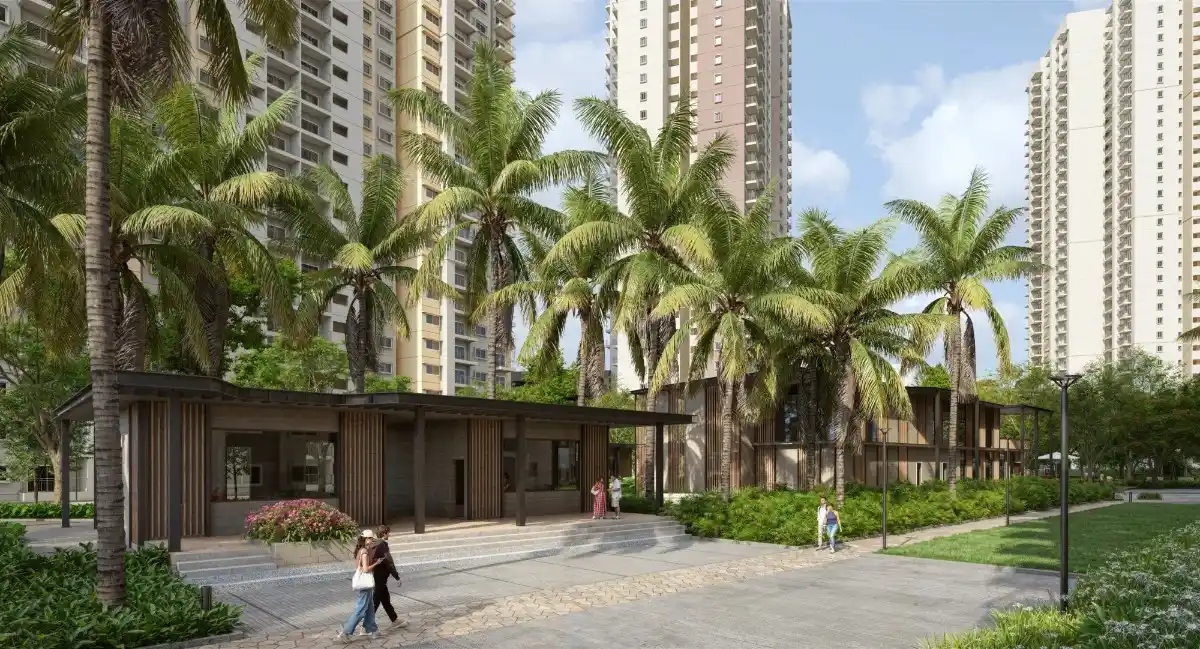 entrance view of alembic cloud forest alembic cloud forest pathway